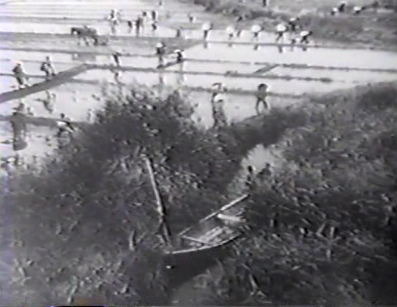 An aerial shot of a group of peasants working in a rice field